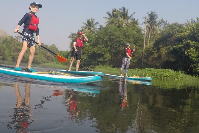 1.5 - 2 hour afternoon SUP class for all ages and levels - Group size, transfers, and getting to the meeting point