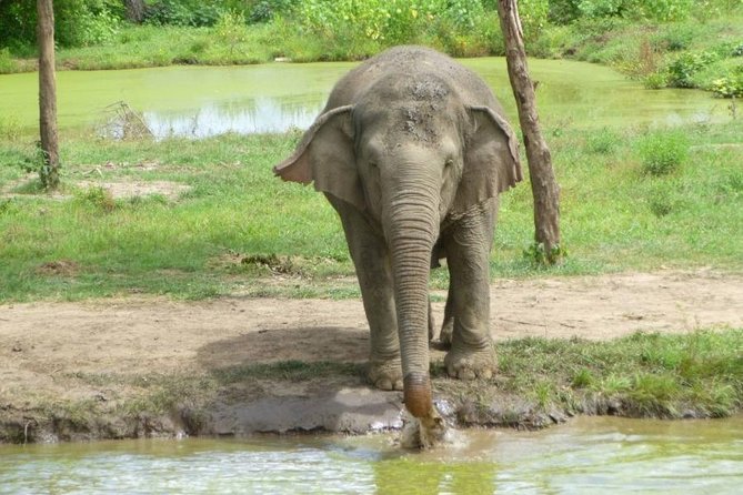 2 day 1 night Elephant World Kanchanaburi from Bangkok - Quick hits before you go