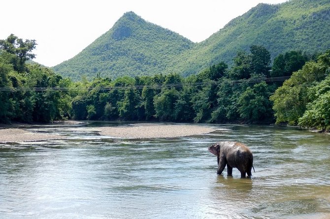 2 day 1 night Elephant World Kanchanaburi from Bangkok - Overnight Thai cottage: why the night matters more than you think
