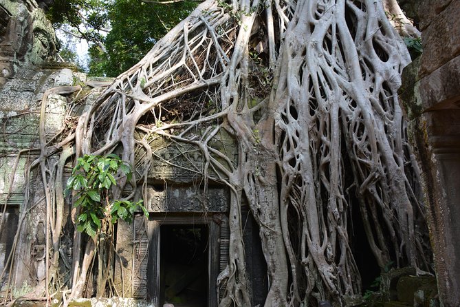 2-Day Angkor Wat Tour from Bangkok - Siem Reap hotel, breakfast, and using your free night wisely