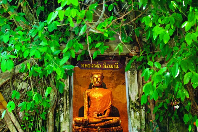 Amphawa Boat Ride & Railway Market: Multi-Lang Private Tour - Maeklong Railway Market (Hoop Rom Market): the train moment you’ll remember