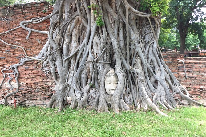 Ayuthaya Must Visit Temples Tour from Bangkok by MyProGuide - Stop 4: Wat Mahathat, the tree and the Buddha moment