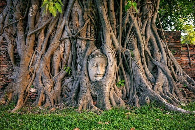 Ayutthaya Bicycle Tour with Scenic Boat Experience - Wat Mahathat: the banyan-tree Buddha head moment
