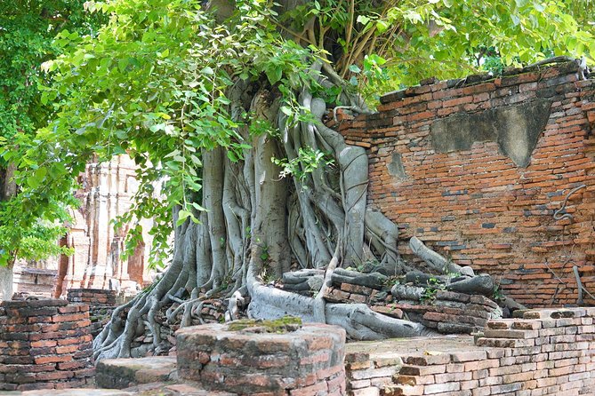 Ayutthaya Evening Tour with Dinner - Wat Yai Chai Mongkhon: the 60 meter chedi and the reclining Buddha