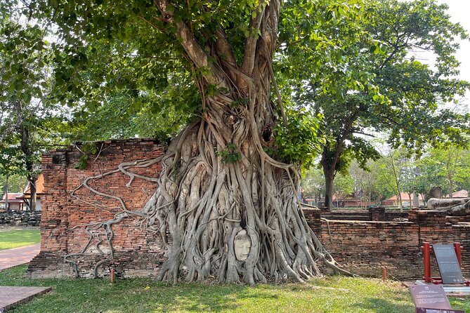 Ayutthaya Historical Old Capital day Tour from Bangkok - Wat Mahathat: The Buddha Head in Tree Roots