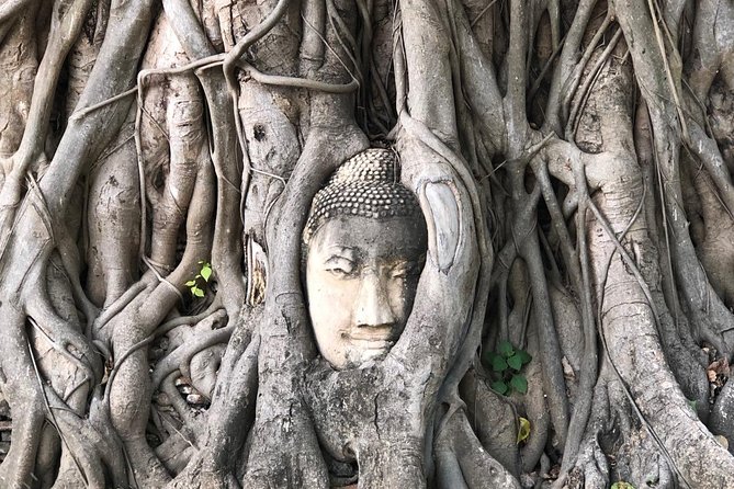 Ayutthaya One Day Tour go by Coach - back by River Cruise - Grand Pearl Cruise - Wat Mahathat and Wat Pheasrisanphet: How Your Guide Connects the Dots
