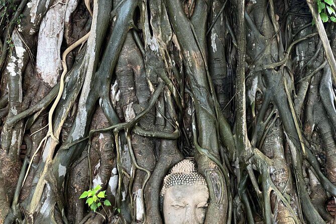Ayutthaya’s Hidden Gems: Small Group Tour with Car & Local Guide - Lunch by the lotus pond at Ayutthaya Retreat