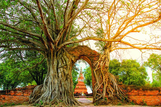 Ayutthaya Sunset Boat & UNESCO Temples: Multi-language private tour from Bangkok - Sunset Boat Ride and Dinner: Your Calm Finish After the Ruins