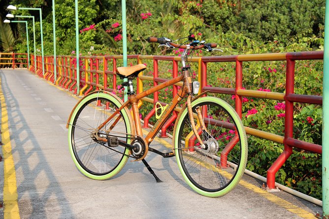 Bamboo Bicycle Tour in twilight: watch dancing Fireflies in Bangkok - Weather, Timing, and What Can Change Your Night