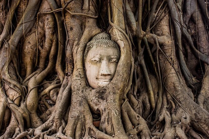 Bangkok Ayutthaya Temples and Boat Tour with Lunch - Riverside lunch: local flavors with a view that makes sense