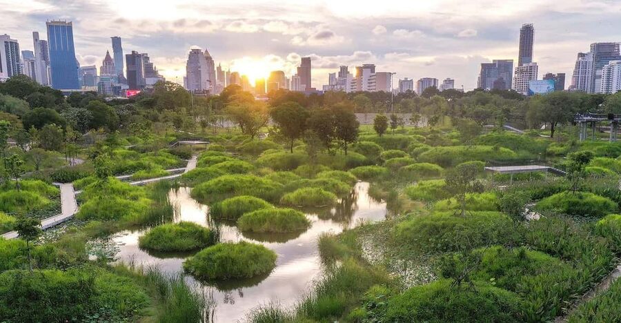 Bangkok Bicycle rental Benjakitti Park - Price and value for 2 hours inside a major Bangkok park