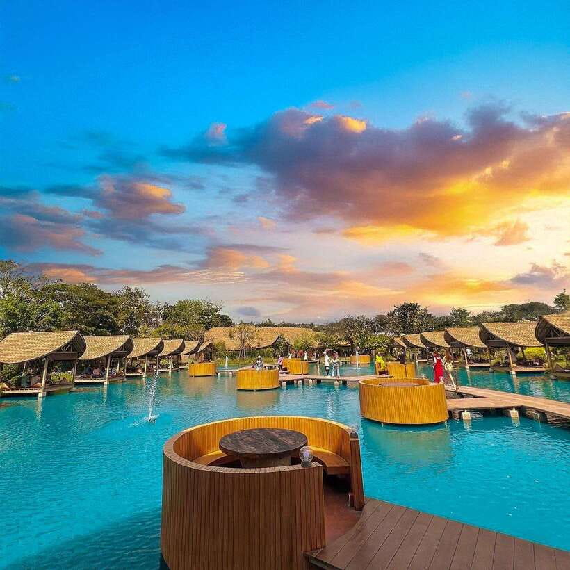 Bangkok: Bubble in the Forest Cafe Food Packages - Key Highlights You’ll Feel Immediately