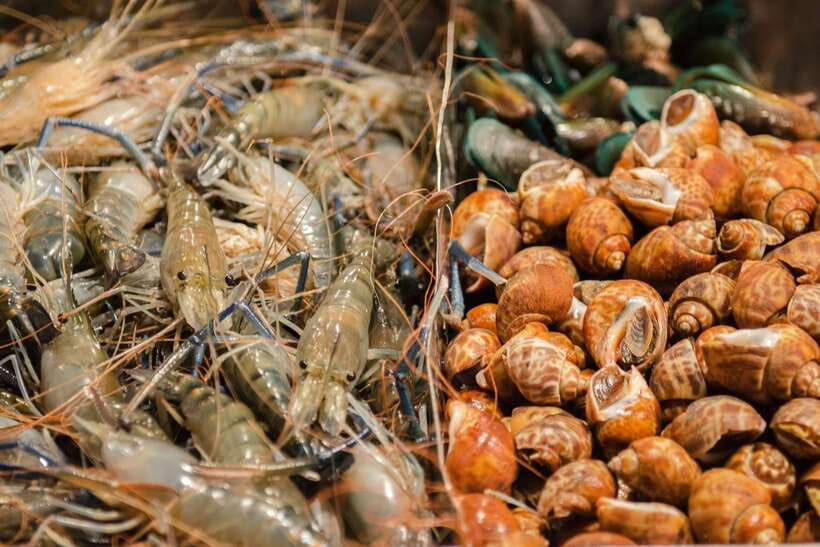 Bangkok: Chinatown Night Food Tour - Learning the Pig Alleys and Chinatown stories between bites