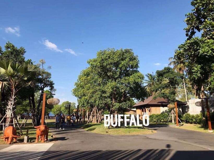 Bangkok: Damnoen Saduak and Train Market with Boat Ride - The Buffalo Café Break: Time to Cool Down and Reset