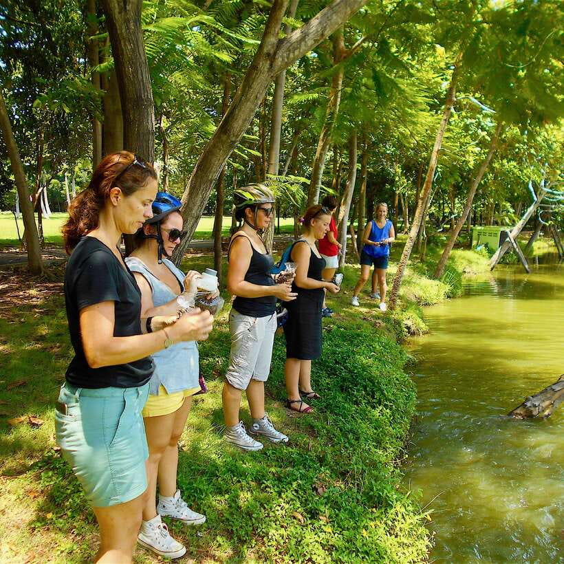 Bangkok green oasis guided bike tour with boat ride - Why this green oasis feels like a break from Bangkok