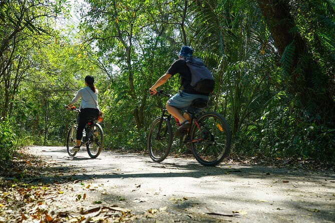 Bangkok Green Oasis Nature Bike Tour - Where you start near Klong Toei Pier, and why that matters