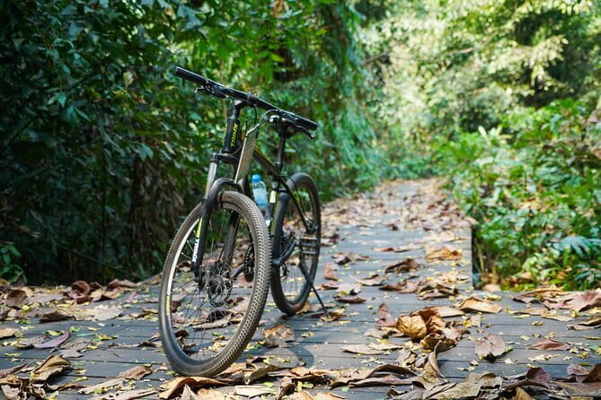 Bangkok Green Oasis Nature Bike Tour - Stop 3: Bang Krachao temple and the giant Ganesha statue