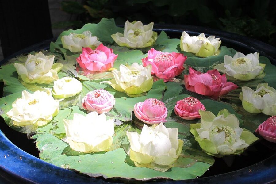 Bangkok: Jim Thompson House and Baan Krua Community Tour - FAQ