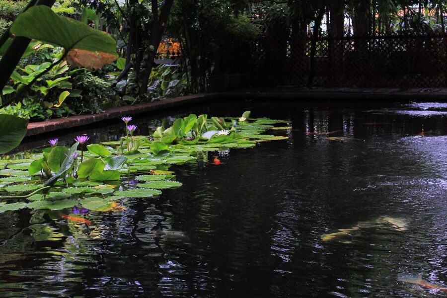 Bangkok: Jim Thompson House and Baan Krua Community Tour - How to shop for silk here, with clear expectations