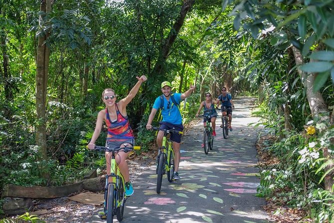 Bangkok Jungle Bike Tour - Hotel-pickup & Lunch - Bang Krachao Cycling: Stilt Houses, Orchards, Wildlife