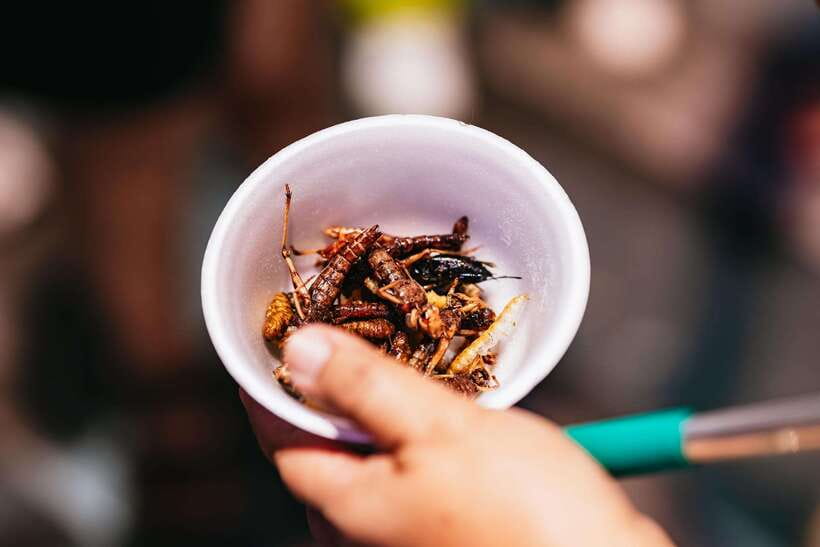 Bangkok: Michelin Guide Street Food Tour by Tuk Tuk - What you get for $20, and why the value makes sense