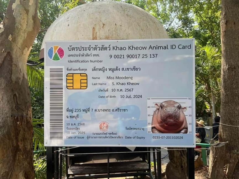 Bangkok/Pattaya: Khao Kheow Zoo Private Tour with Pickup - Getting the most from your driver: English support and patience