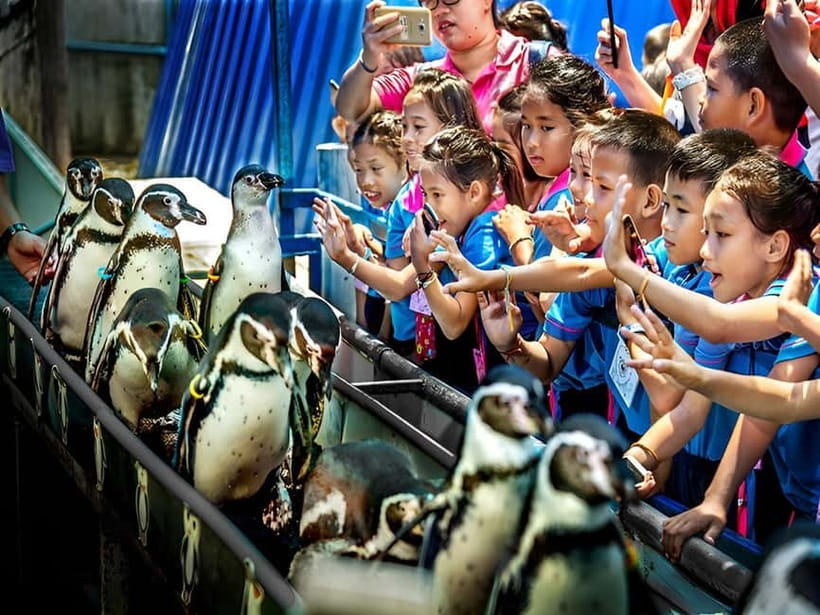 Bangkok/Pattaya: Khao Kheow Zoo Private Tour with Pickup - Practical do’s and don’ts for a smooth zoo day