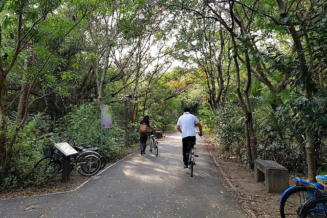 Bangkok's Green Lung Jungle Cycling Adventure Tour - Crossing the Chao Phraya by longtail boat