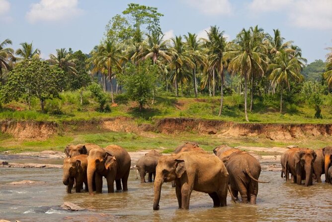 Bangkok: Safari world & Marine park - Key Highlights You Will Feel Immediately