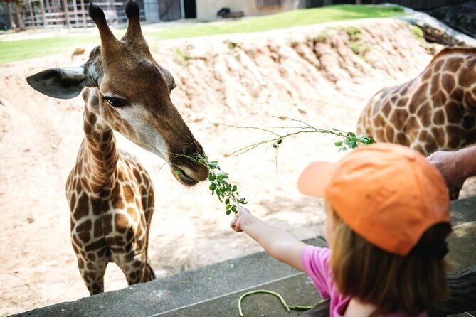 Bangkok: Safari world & Marine park - Jungle Cruise River Ride, a Different Way to See Animals