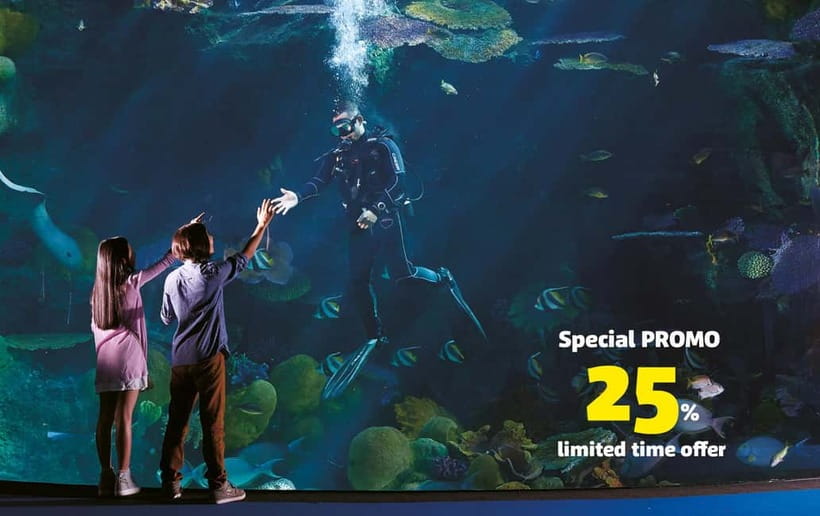 Bangkok: SEA LIFE Bangkok Ocean World Entry Ticket - Key highlights worth planning around
