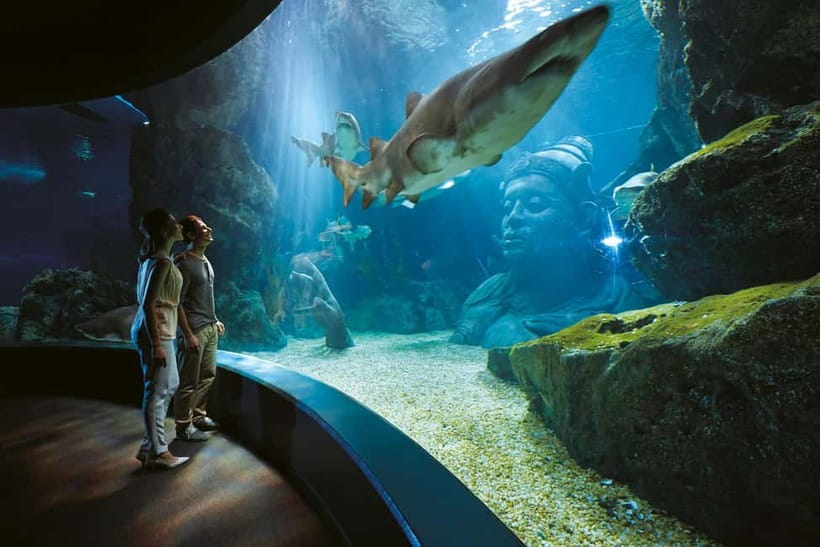 Bangkok: SEA LIFE Bangkok Ocean World Entry Ticket - Siam Paragon Ocean World: where this aquarium fits in your Bangkok day