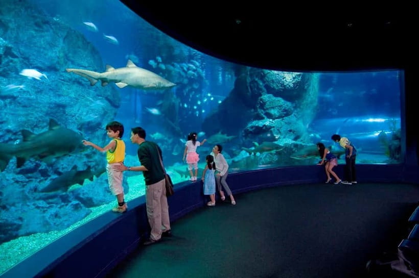 Bangkok: SEA LIFE Bangkok Ocean World Entry Ticket - Practical value: does $31 buy enough for your time?