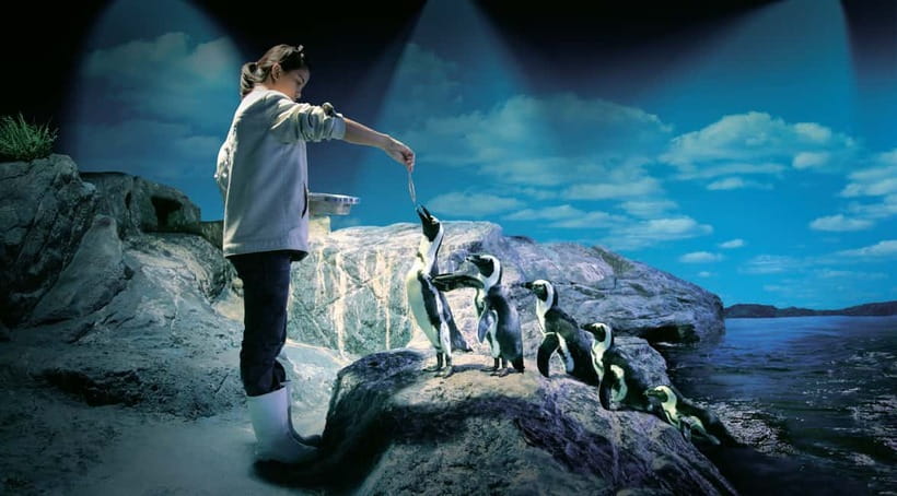 Bangkok: SEA LIFE Bangkok Ocean World Entry Ticket - 11 themed zones and 30,000 creatures: how to pace your walk