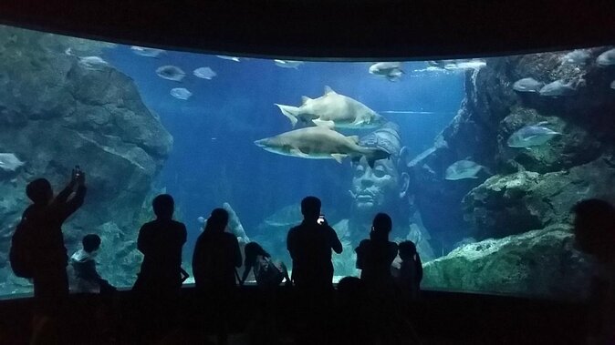 Bangkok SEA LIFE & Madame Tussauds Combo with Hotel Transfers - Key things to know before you go