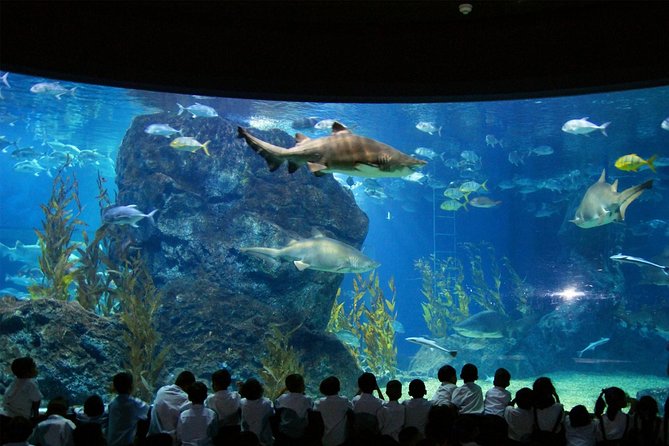 Bangkok SEA LIFE & Madame Tussauds Combo with Hotel Transfers - Madame Tussauds Bangkok: Wax Celebrities and the Realism Reality Check