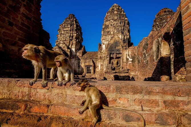 Bangkok to Ayutthaya Lopburi Monkey Temple, Largest Buddha Tour - Key highlights to notice before you go