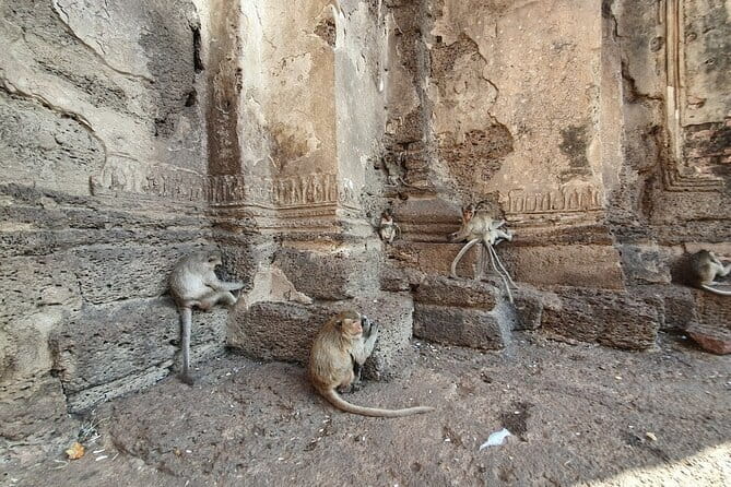 Bangkok to Ayutthaya Lopburi Monkey Temple, Largest Buddha Tour - Wat Muang and the 92-meter seated Buddha moment