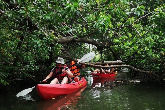 Bangkok Tour by Boat and Bike - Price and value: is about $119.74 a fair deal?