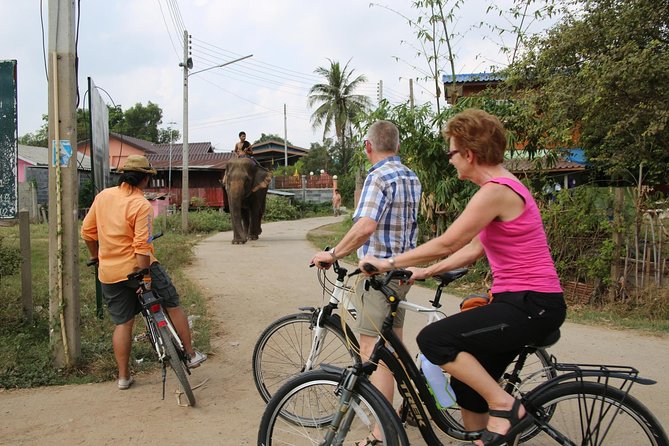 Colors of Ayutthaya Full-Day Bike Tour - Stop 2: Wat Lokayasutharam (Temple of the Reclining Buddha)