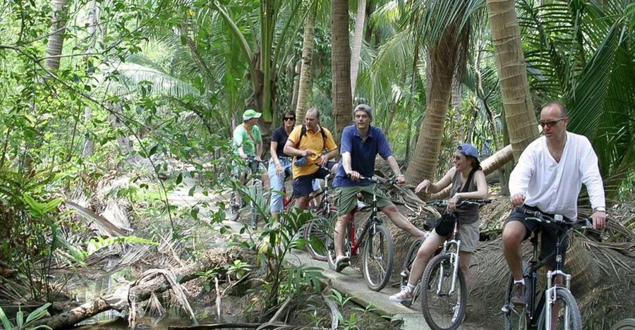 Colors Of Bangkok: 4-Hour Small Group Bike Tour - Chao Phraya river crossing: your first big mood shift