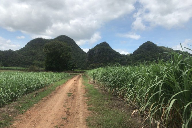 Cycling in rural Kanchanaburi area - Price and value: what $28.20 buys you