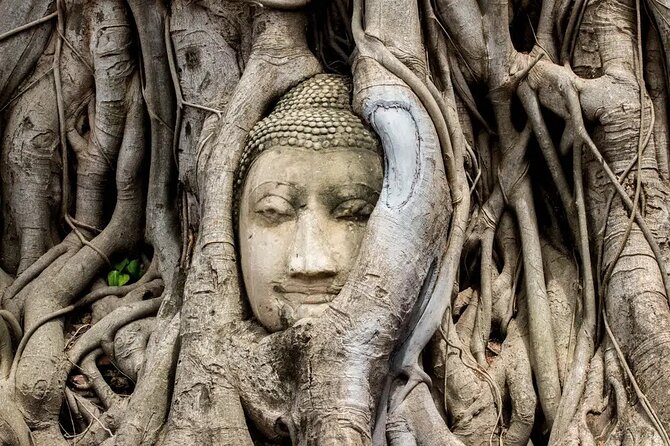 Day Tour of Ayutthaya and Bang Pa-In - Hotel Pickup, Mobile Ticket, and a Smooth Return to Bangkok