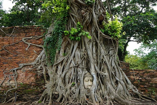 Discover UNESCO World Heritage Sites - Ayutthaya to Khao Yai National Park - Ayutthaya temples: big Buddha moments and royal-era details