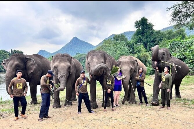 Erawan Waterfall and Elephant care from Bangkok -Private Tour - Erawan Waterfall’s 7 levels and swimming in emerald ponds