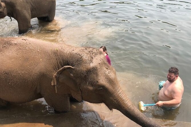 Erawan Waterfall and Elephant care from Bangkok -Private Tour - Price and value: what $203.28 per person covers