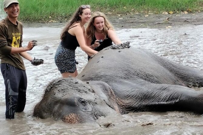 Erawan Waterfall and Elephant care from Bangkok -Private Tour - Best for: who will love it, and who should rethink it
