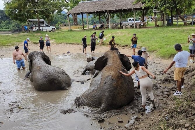 Erawan Waterfall and Elephant care from Bangkok -Private Tour - Should you book this Erawan and Elephant tour?