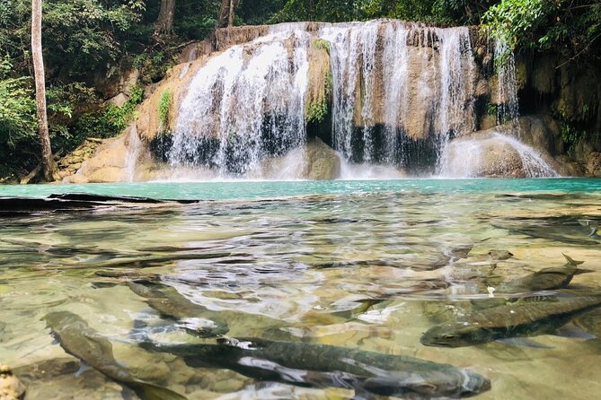 Erawan Waterfall and River Kwai Bridge Day Tour from Bangkok - Don Rak War Cemetery at Kanchanaburi: a quiet start with real context