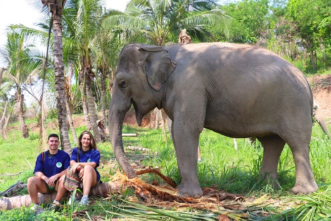 Ethical Elephant Sanctuary Tour from Bangkok & Pattaya - Key highlights before you go